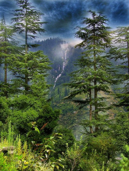 Honeymoon Tour Package 3 Night 4 Days