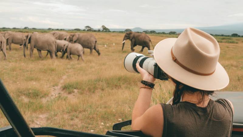 Ngorongoro Crater - Tarangire And Serengeti National Parks Tour