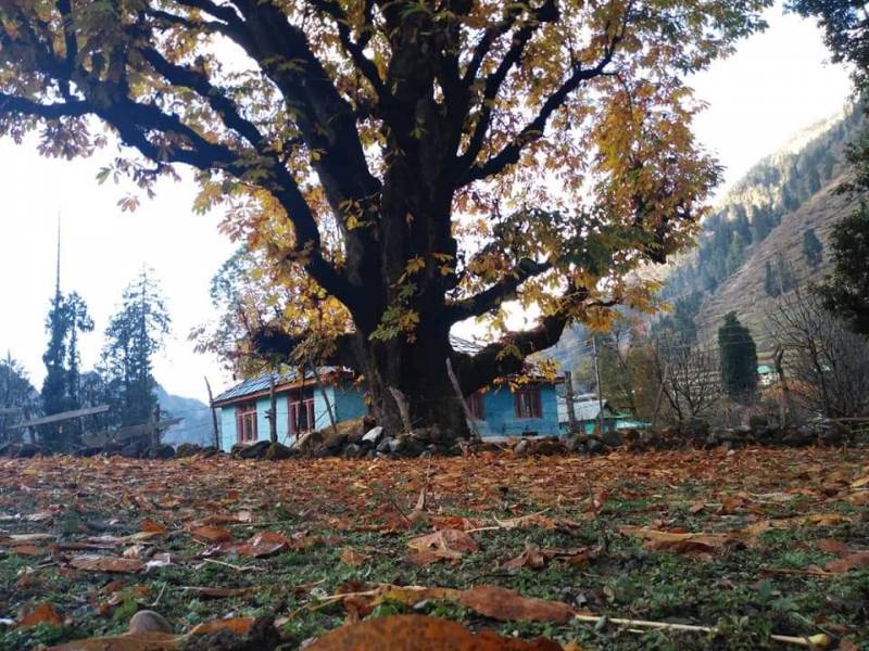 2 Night 3 Days Kasol Tour