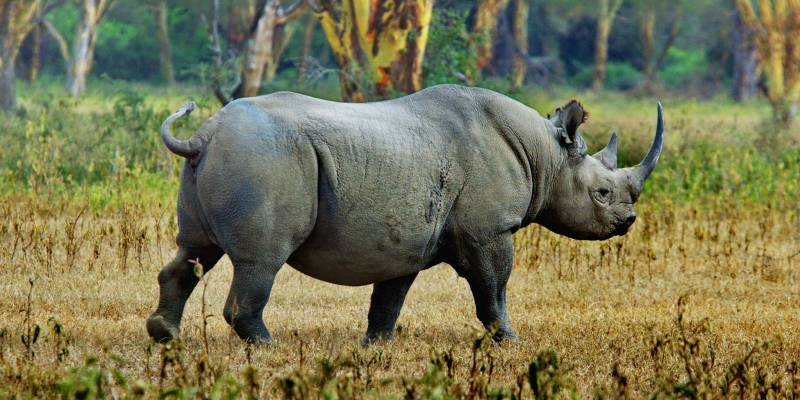 5 Days Budget Camping Safrai in Tanzania