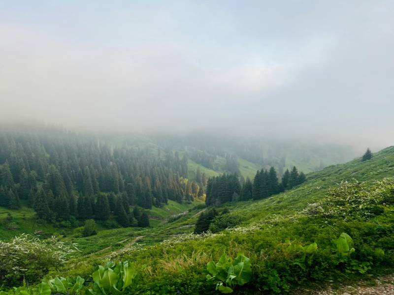 Offbeat Himachal - Tirthan Valley - Great Himalayan National Park 6 Days Tour