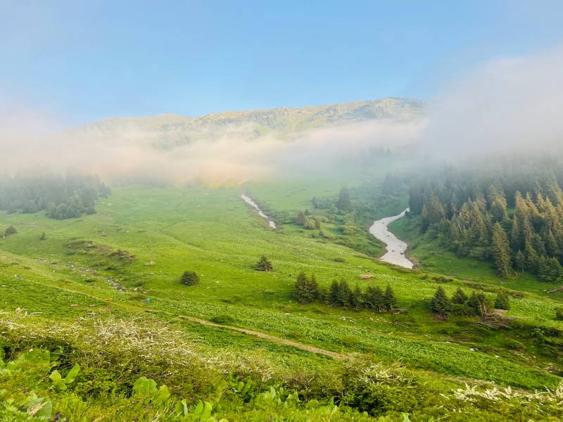 Kuari Pass Trek - Lord Curzon's Trail 6 Days Tour