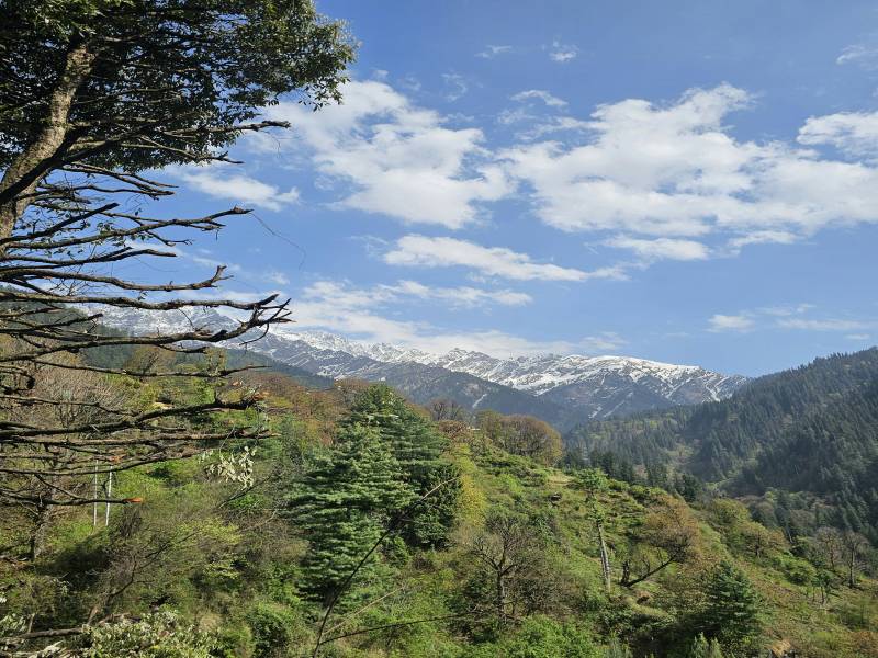 10N - 11D Northeast Tour - Ultimate Northeast Experience