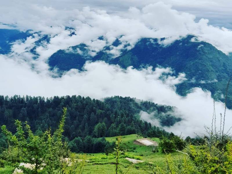 6 Days Shimla Chail Kufri Tour - Himalayan Hills - Heritage Retreat