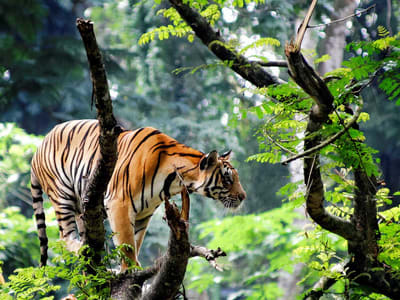 Kerala Tour Package From Chennai