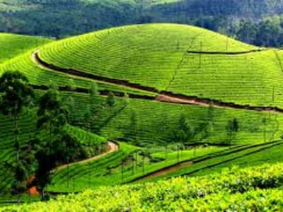Kerala Tour Package From Chennai