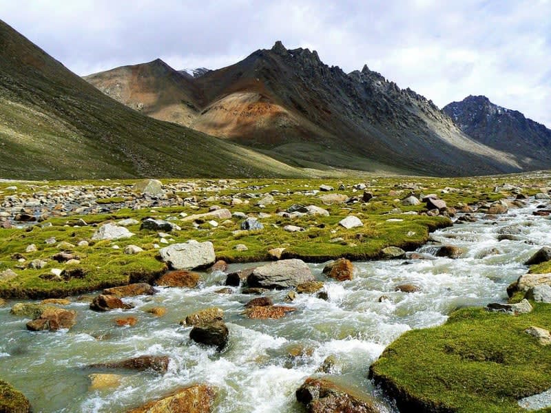 Valley of Flowers Trek with Hemkund Sahib, Uttarakhand