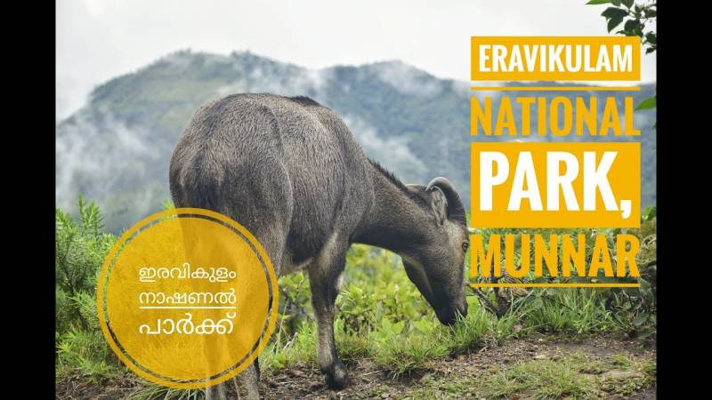 7 Nights & 8 Days New Year Kerala Tour Package