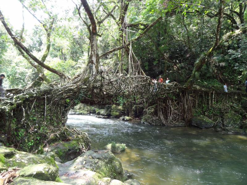 6Nights/ 7Days Mesmerizing Meghalaya