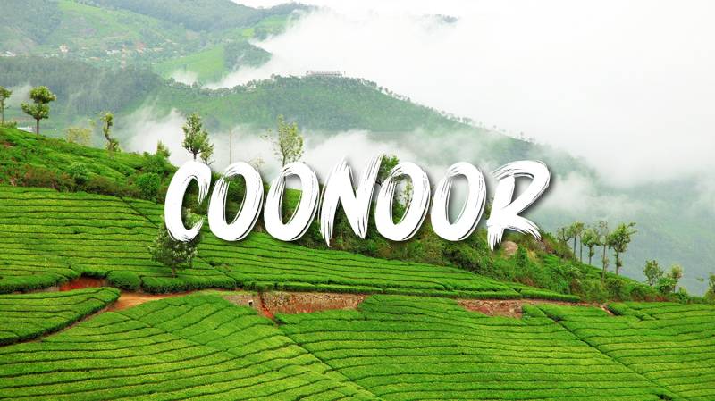Banglore - Mysore - Ooty  Honeymoon Package