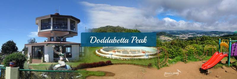 Banglore - Mysore - Ooty  Honeymoon Package