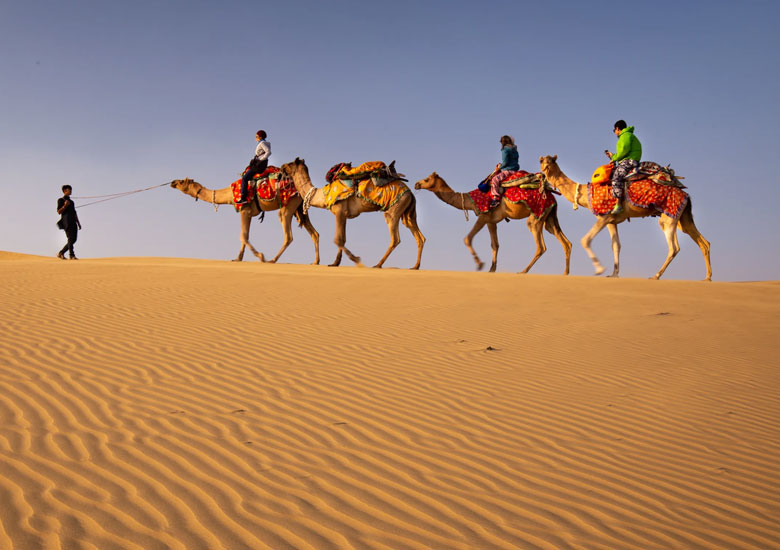 Royal Rajasthan New Year Trip