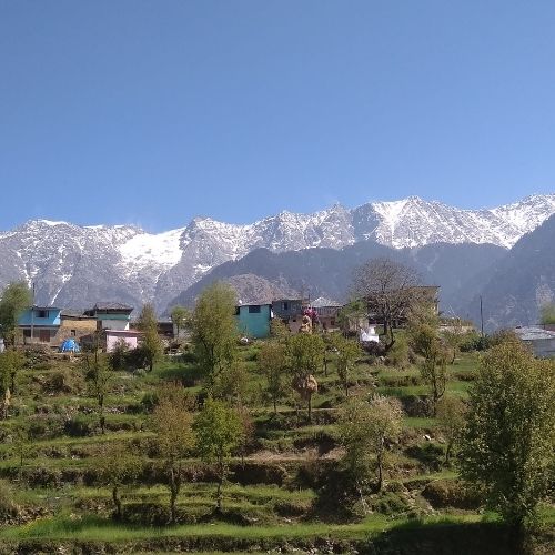 Full Grand Himachal Couple Tour