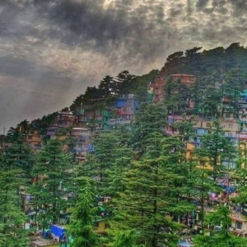 Full Grand Himachal Couple Tour