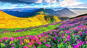 Shillong with Kaziranga 8 Days