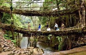 Shillong with Kaziranga 8 Days