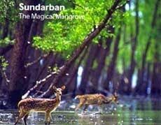 3 Days Sunderban