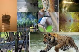3 Days Sunderban