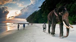 5 Night 6 Days from Andaman