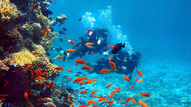 5 Nights 6 Days Andaman