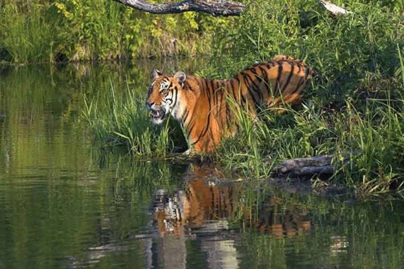 Sundarban Tour Package 02 Nights 03 days