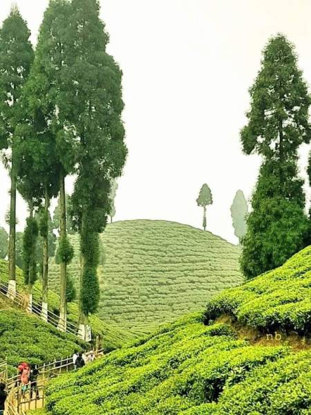 3 Night 4 Days Lava, Lolegaon , Rishop Tour Package