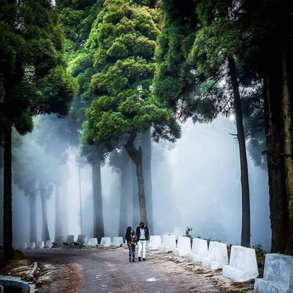 3 Night 4 Days Lava, Lolegaon , Rishop Tour Package