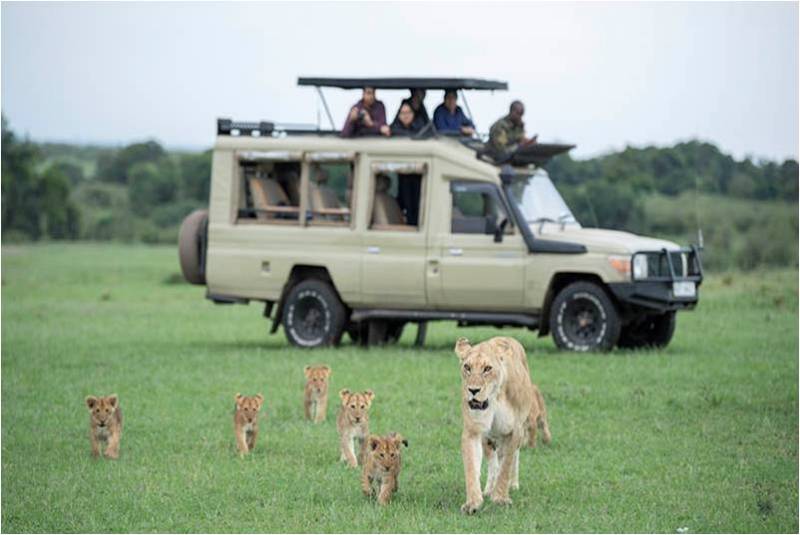 Masaimara Photography Tour