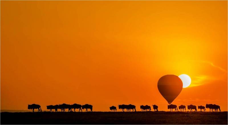 Masaimara Photography Tour