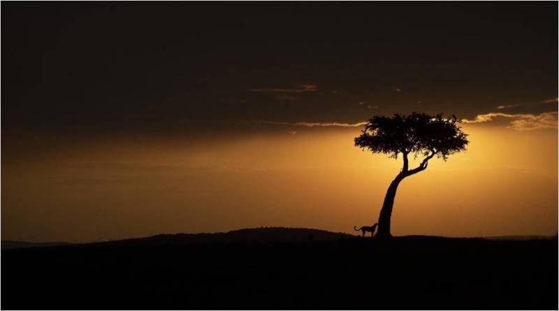 Masaimara Photography Tour