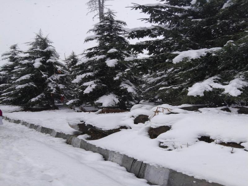 4 Days 3 Nights  In Manali Sight Seen Package
