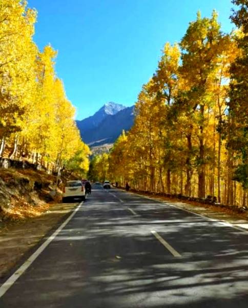 4 Days 3 Nights  in Manali Sight Seen Package
