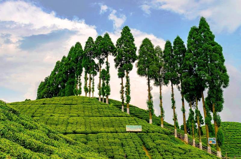 Gangtok Darjeeling 4N 5D