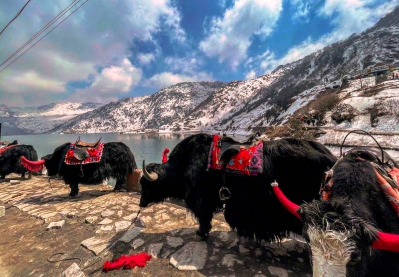 Gangtok Darjeeling 4N 5D