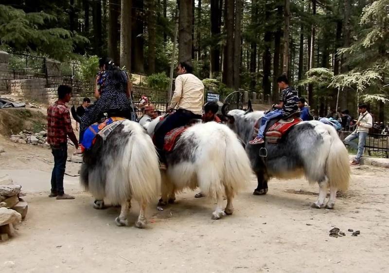 Himachal with Amritsar 13 N 14 D