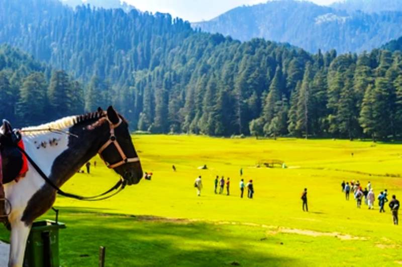 Himachal with Amritsar 13 N 14 D