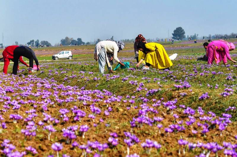 KASHMIR WITH VAISHNODEVI 13N 14D
