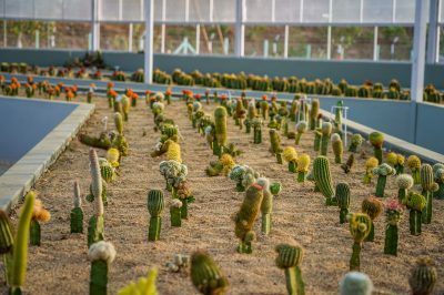 1 day trip to world's tallest statue
