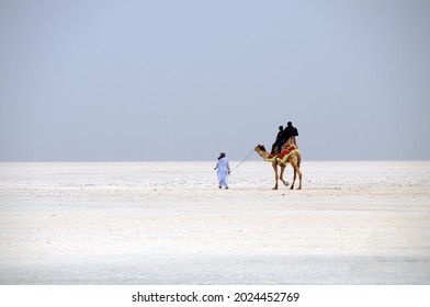 7 Night - 8 Days Gujarat Tour With Rann Of Kutch Ex - Ahmedabad