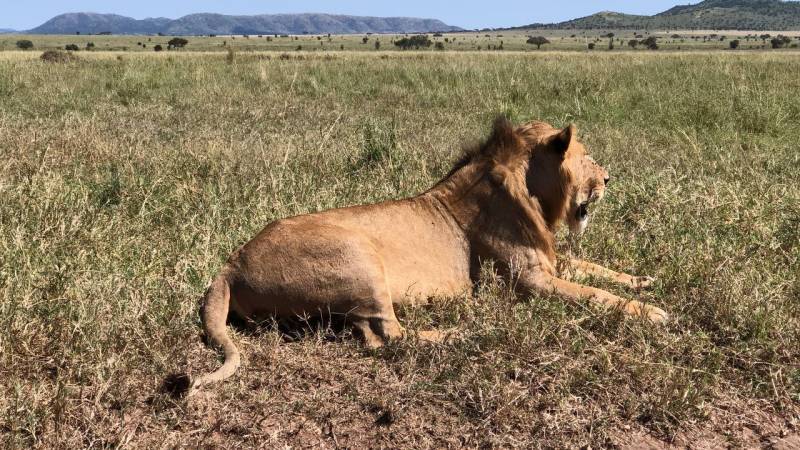 4 Days 3 Nights in Ruaha National Park