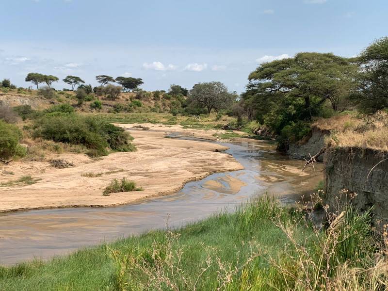 4 Days 3 Nights in Ruaha National Park