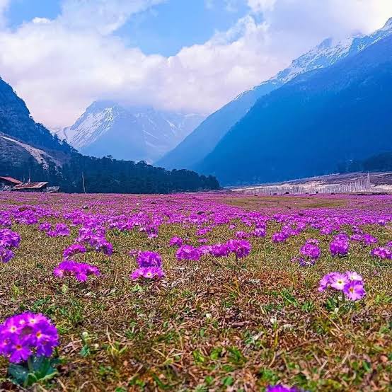 North Sikkim Tour Package