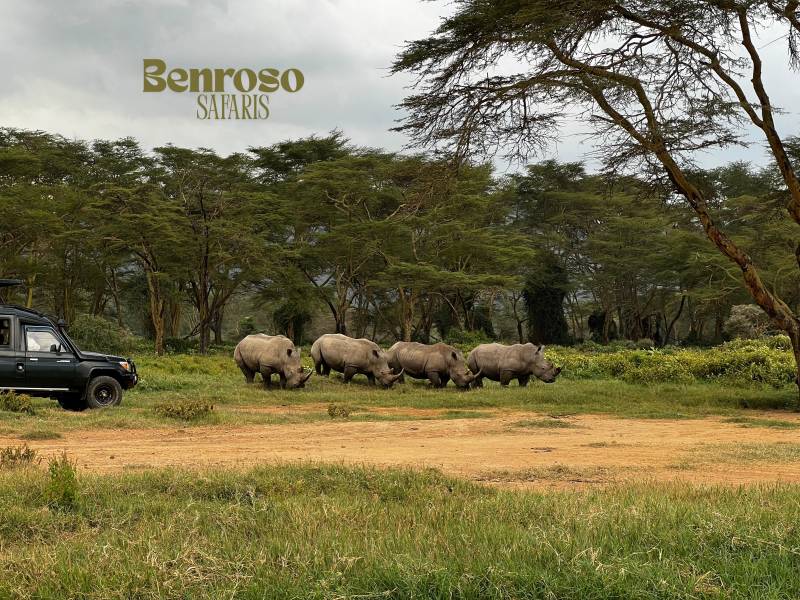 Great Rift valley Lakes and Maasai Mara safari Image