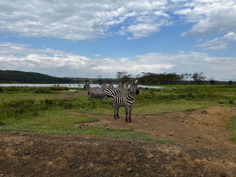 Great Rift valley Lakes and Maasai Mara safari