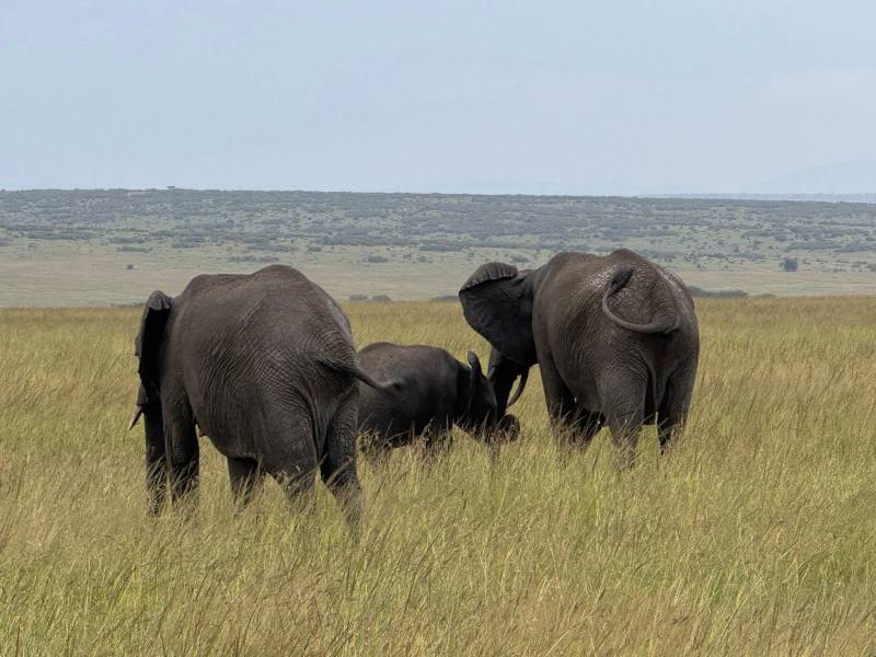 4-Day Awesome Kenya - Budget