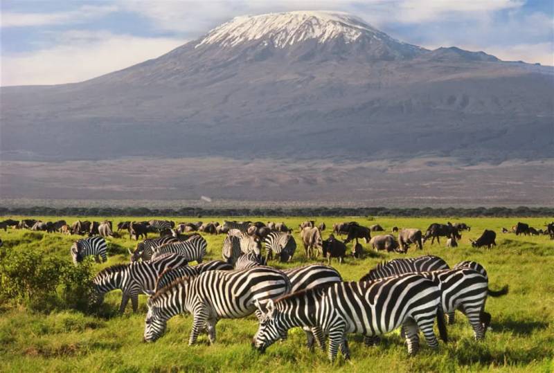 4-Day Tsavo West and Amboseli Tour from Nairobi