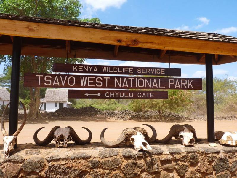 4-Day Tsavo West and Amboseli Tour from Nairobi