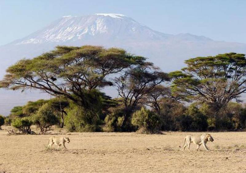 4-Day Tsavo West and Amboseli Tour from Nairobi