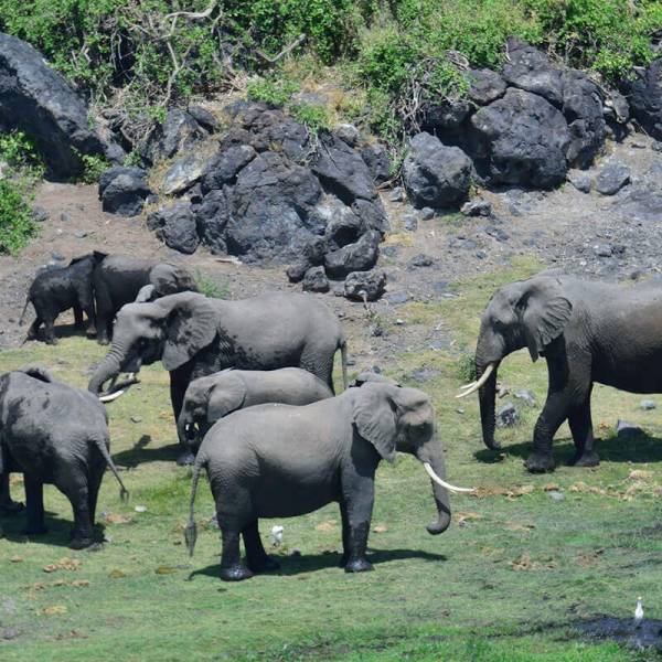 3 Days Amboseli National Park Tour