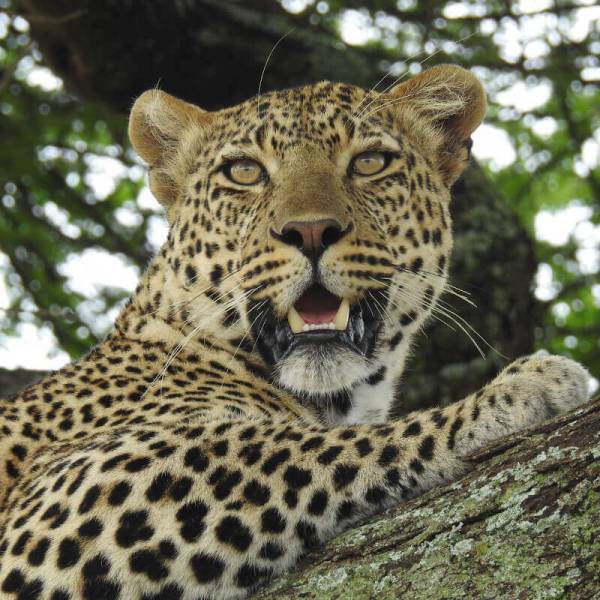 8 Days Northern Tanzania Expedition Tour Image